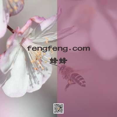 fengfeng.com