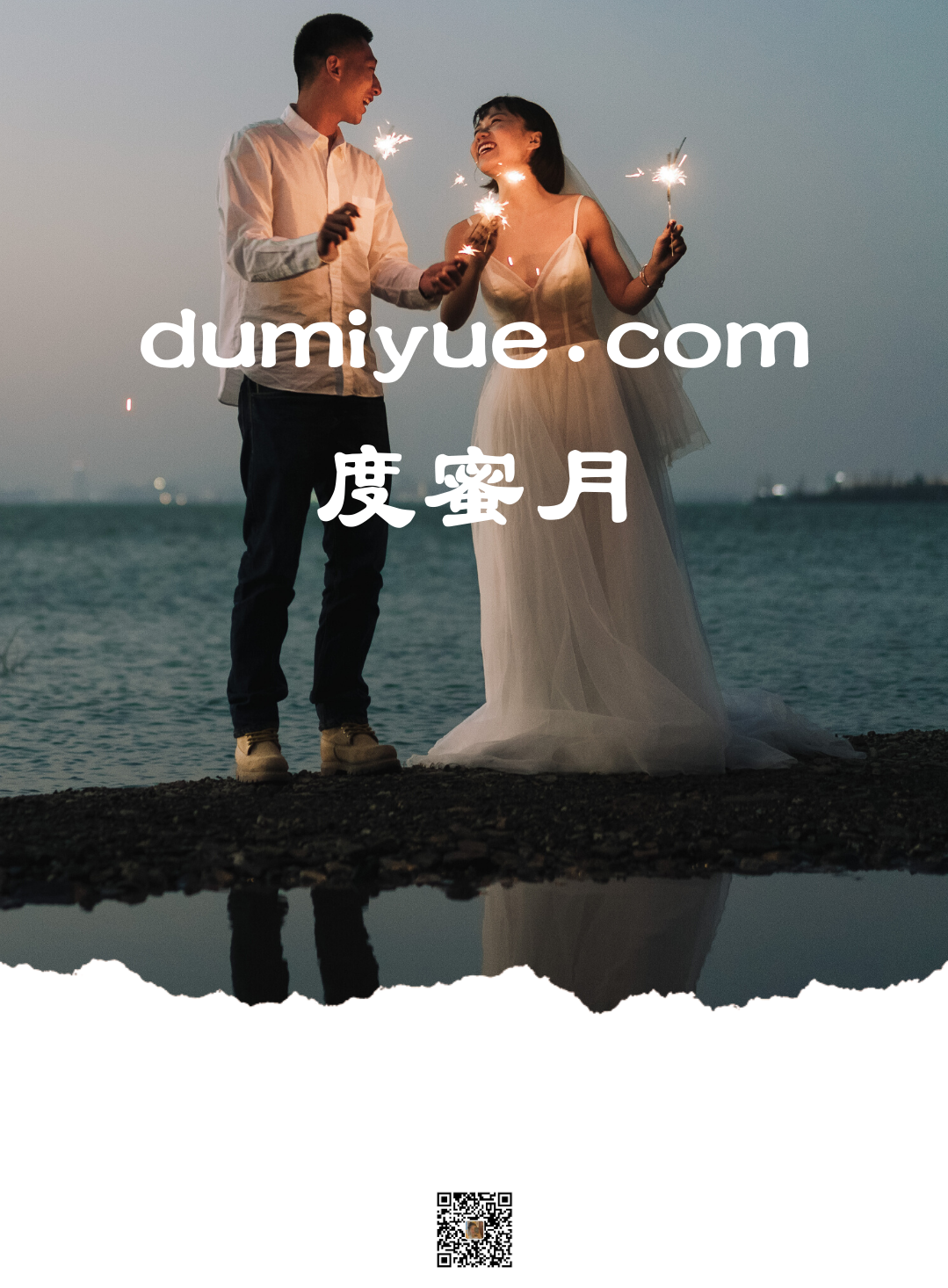 dumiyue.com